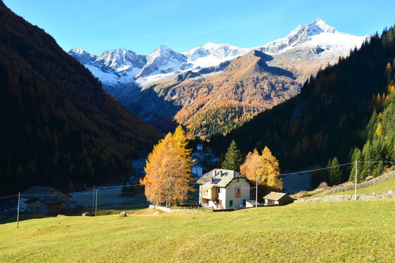 Il Cortese Chiareggio Exteriör bild