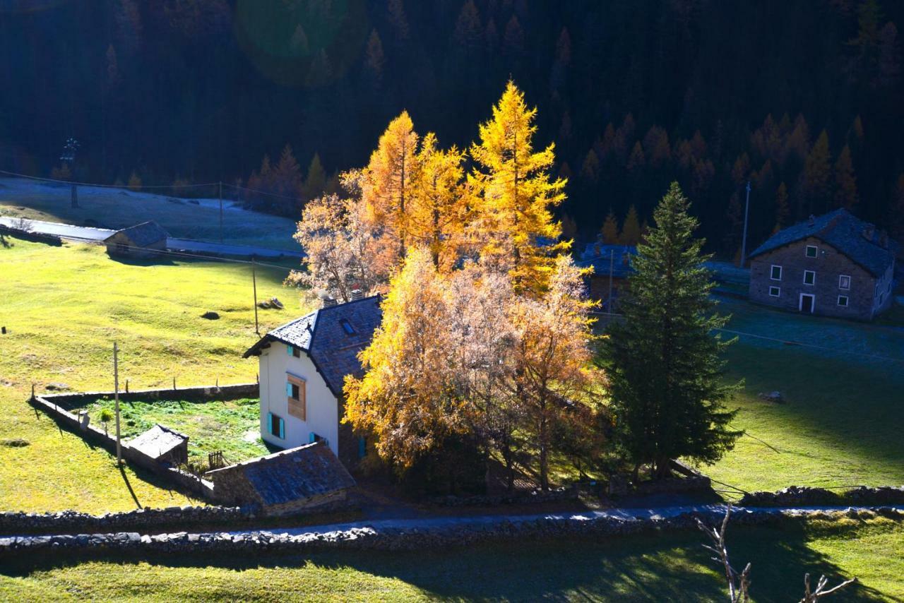 Il Cortese Chiareggio Exteriör bild