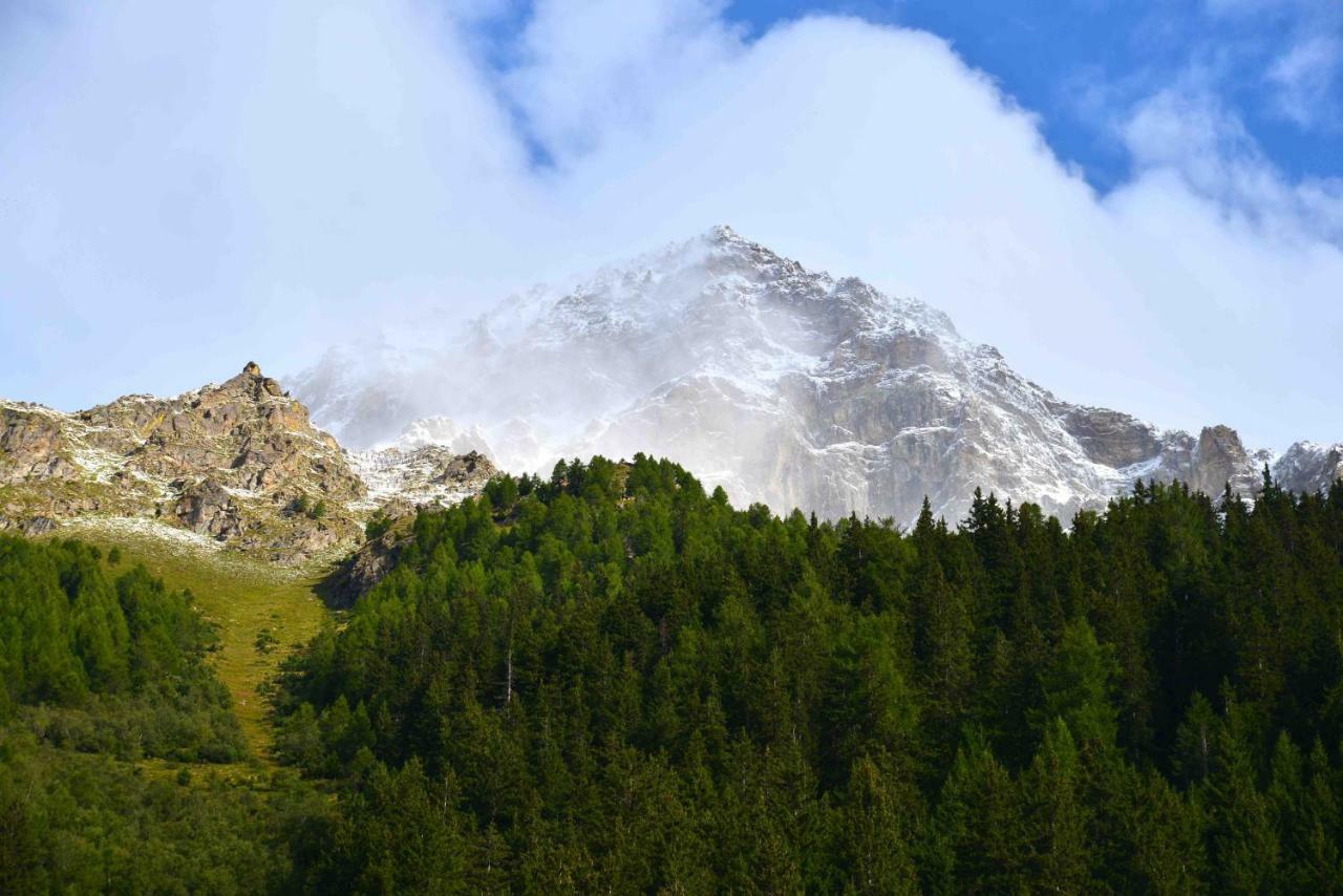 Il Cortese Chiareggio Exteriör bild