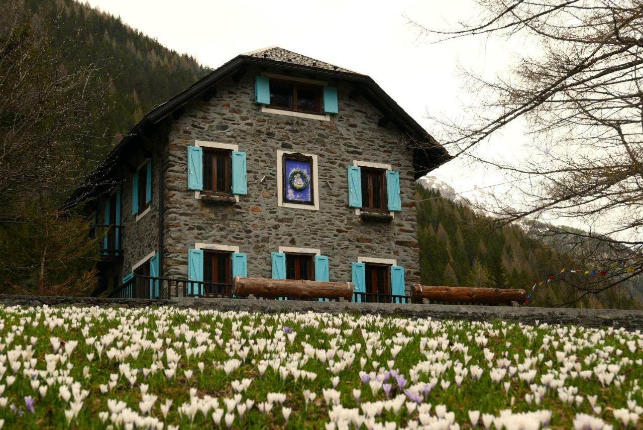 Il Cortese Chiareggio Exteriör bild